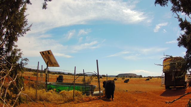 4G LTE Solar-Powered Cellular Ranch & Trail Camera with Lifetime Data